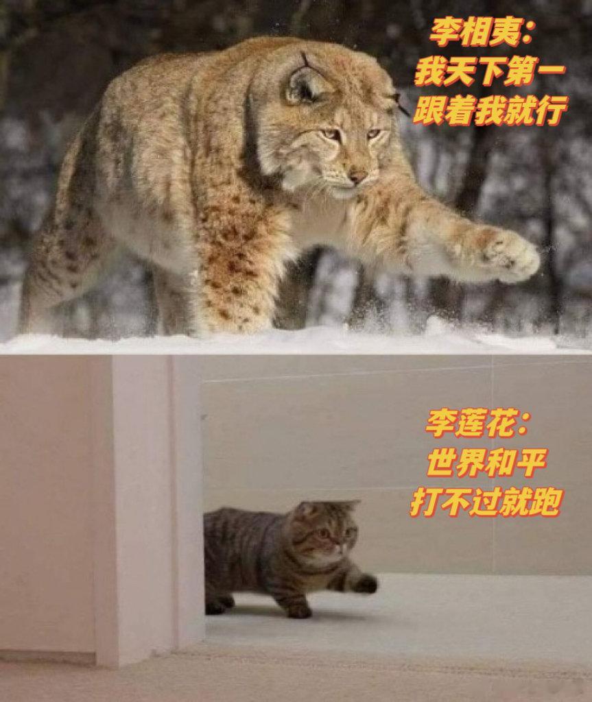 #谈恋爱李相夷过日子李莲花# 我觉得莲花楼里面李相夷和李莲花是两种完全不同的感觉