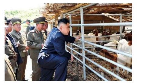 你知道吗？朝鲜人其实很少吃猪肉。

你可别以为是朝鲜人不爱吃猪肉，压根不是那回事