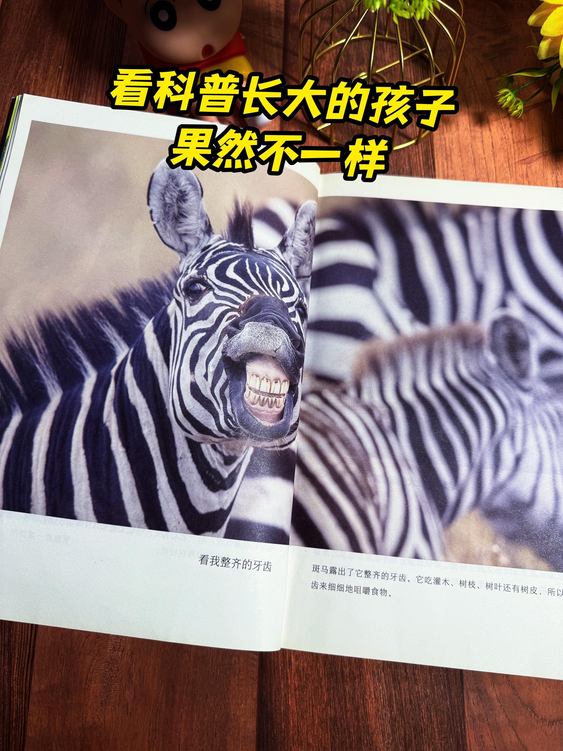 3岁就能看的科普书！全是高清实拍大图，足足 251页，包含近200种常...