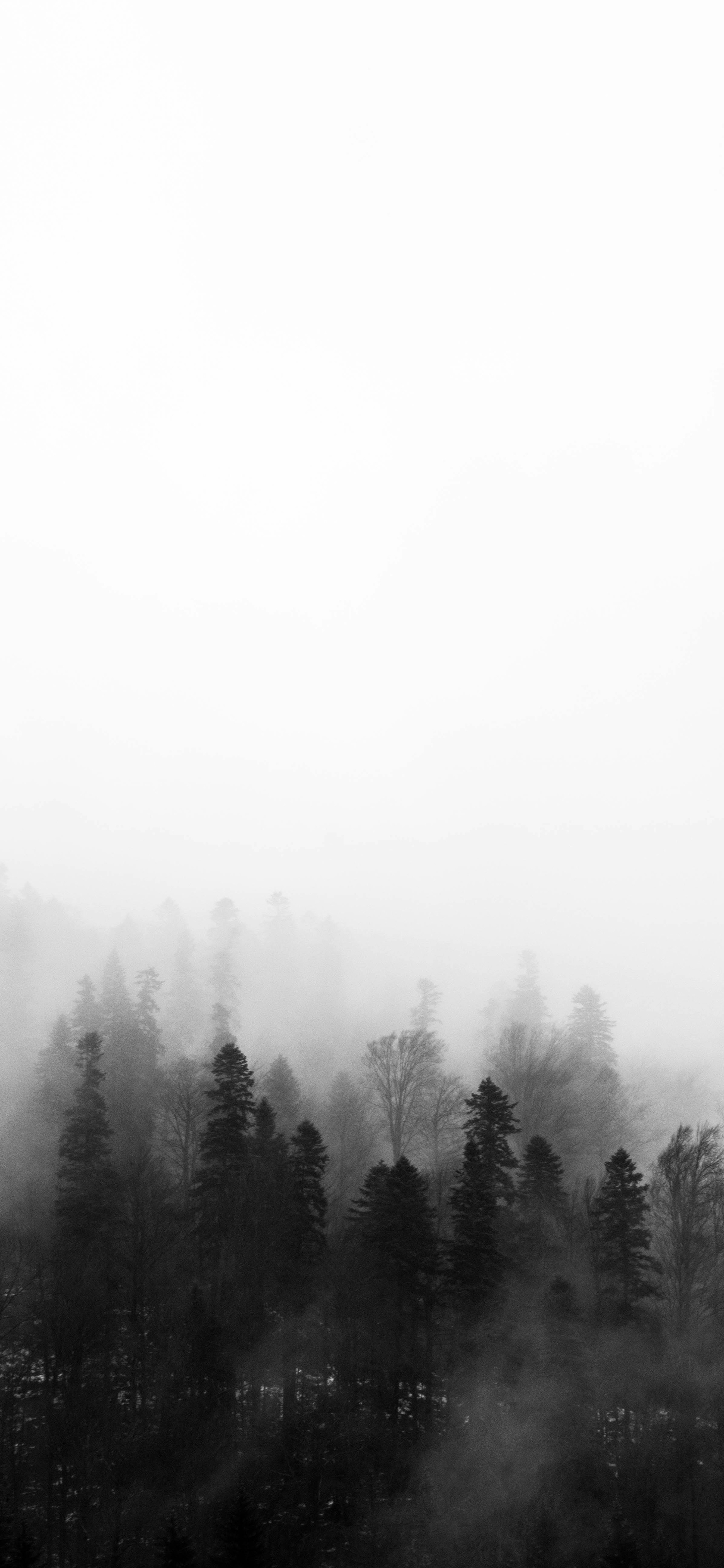 早～又周五了，得劲儿风景壁纸