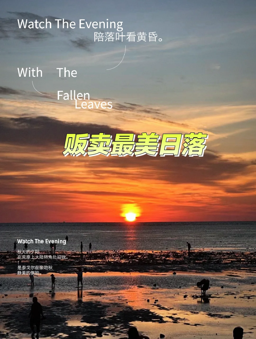 海滩🌊落日🌅 贩卖日落🌄湛江拍日落攻略