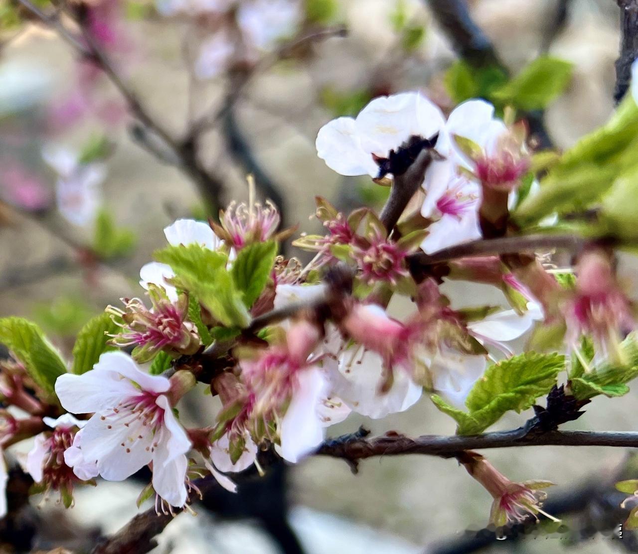 谁说补课班只能培养出做题机器?
补课班，是随着社会发展应运而生的。
最初，应家里