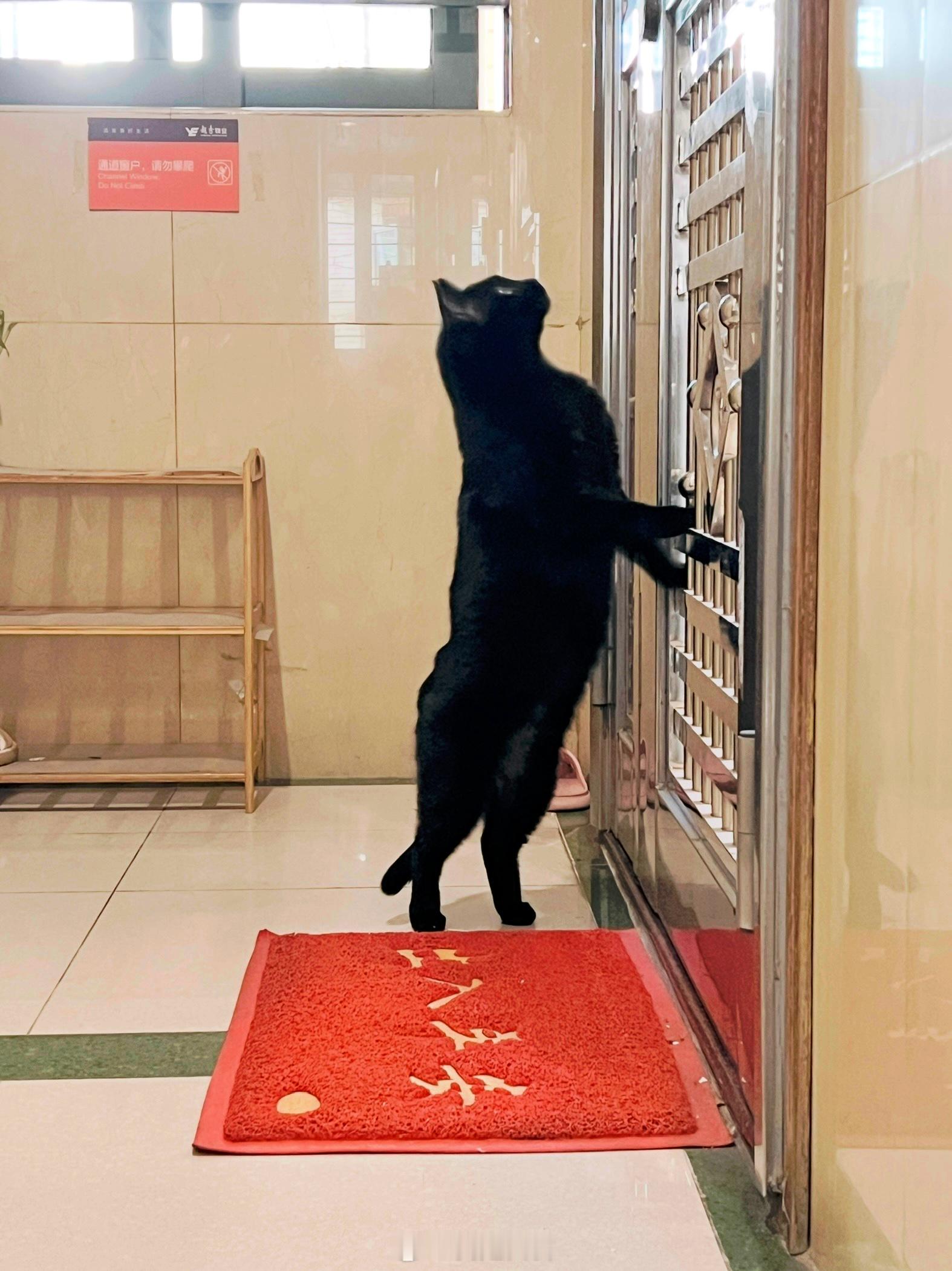 新鄰居進駐，好像是一對說話用丹田發聲的父子～ 