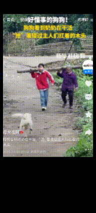 好一只中华田园犬，你居然被新华社转发了。

一个女孩和一个老奶奶正扛着一截木头，