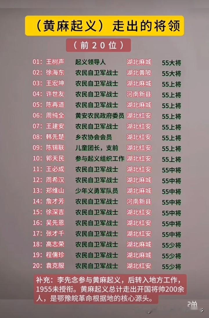 历史上，麻城市作为黄麻起义的策源地之一，大别山革命老区，在革命战争年代也先后走向
