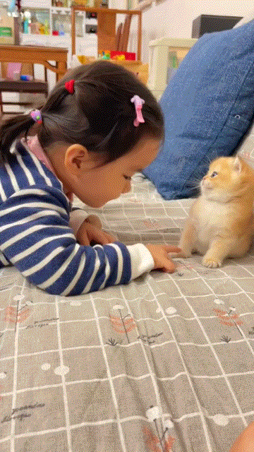 好治愈的画面…