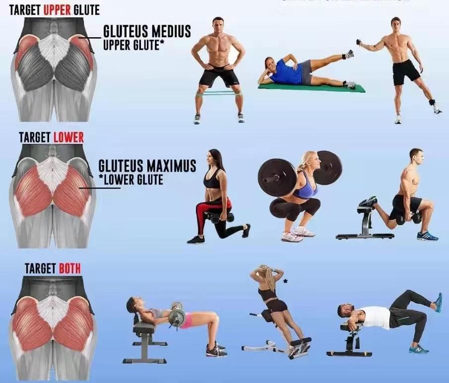 练臀不粗腿的动作，正确的理解应该是练臀不练腿的动作吧！
这类动作还真不少，臀推、