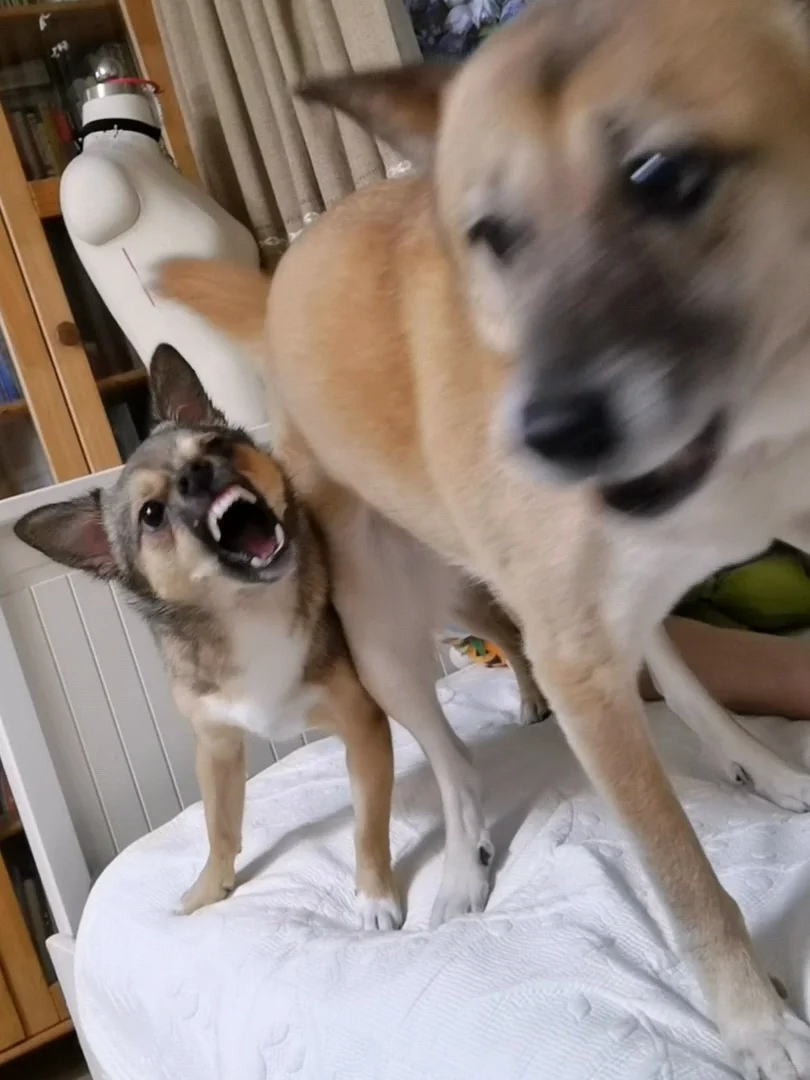 姐姐你有什么心事别藏着和桶桶说哇