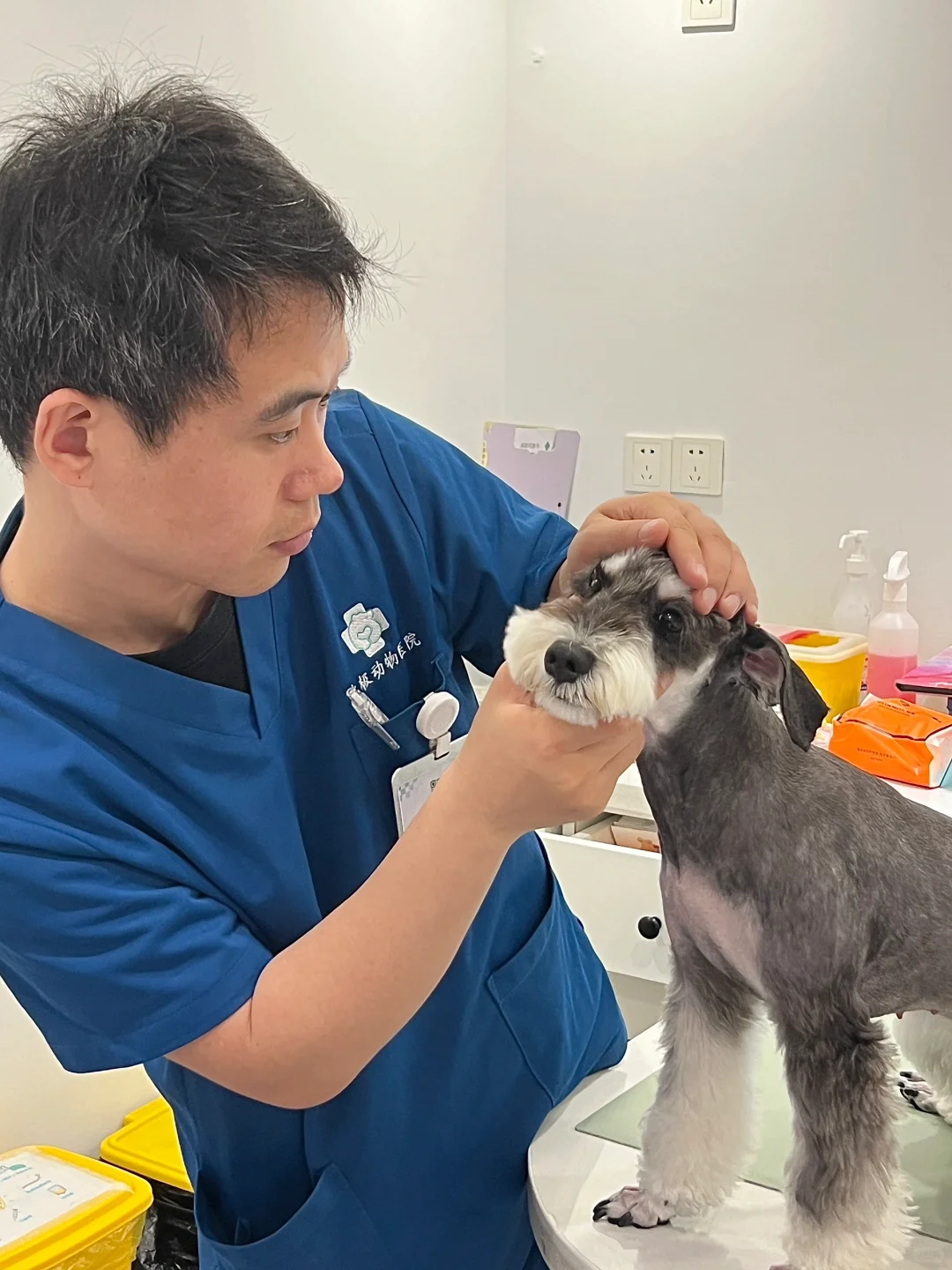 福州宠物医院亲测推荐！