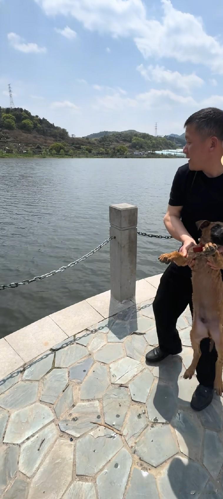 有人拍下令人痛心的一幕：主人将自己的狗狗抛入大江，狗狗从高空坠入水中，主人却转身