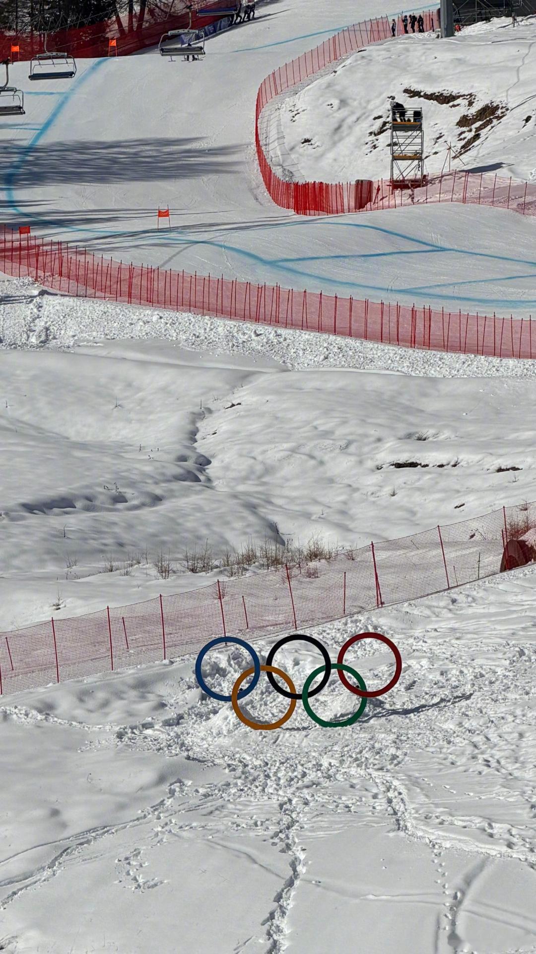 杨天真目睹冬奥会高山速滑事故杨天真目睹运动员高山速滑事故 杨天真分享米兰冬奥现场