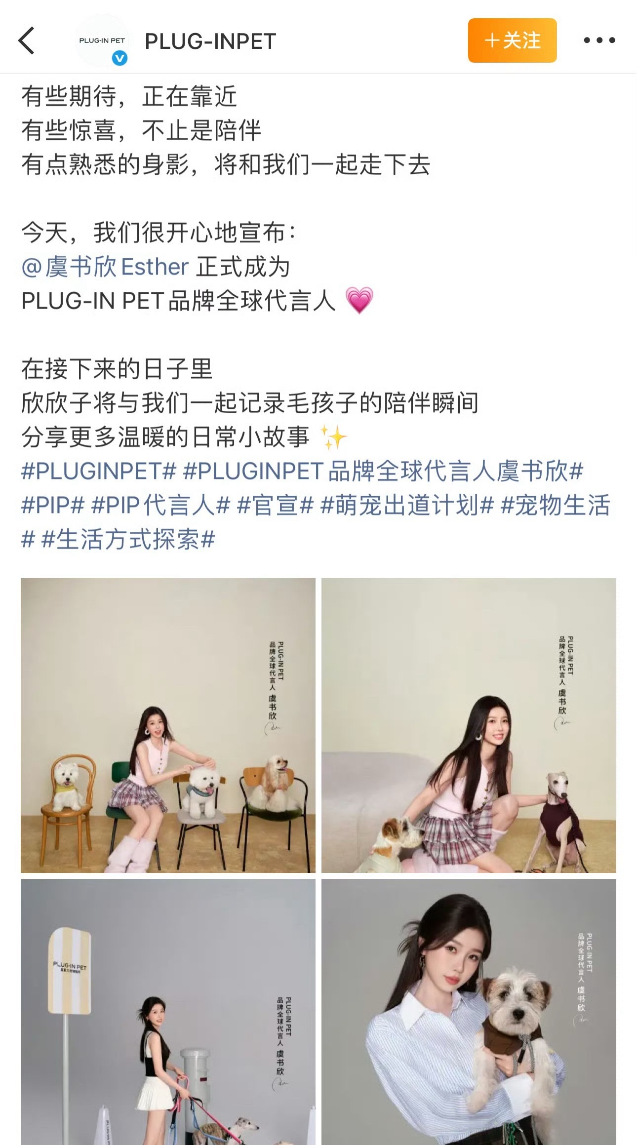 虞书欣新商务来了没听说过，昨天看这个品牌店铺粉丝2200+，近期最高销量100+