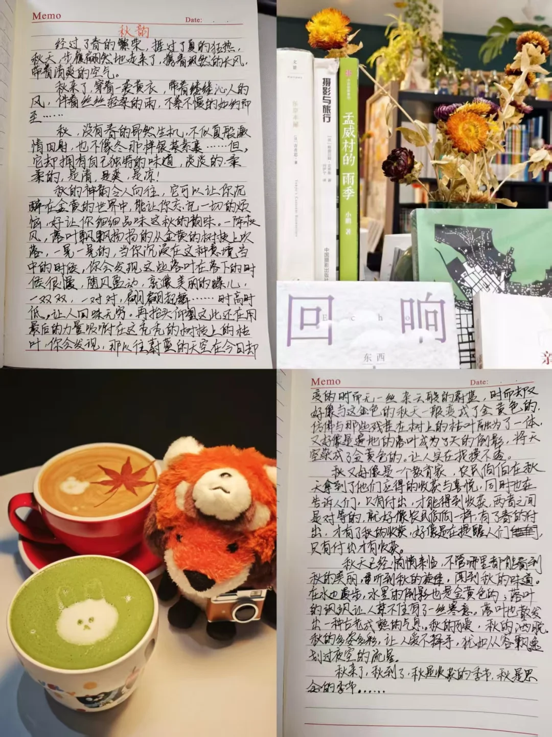 《秋韵》作文范文