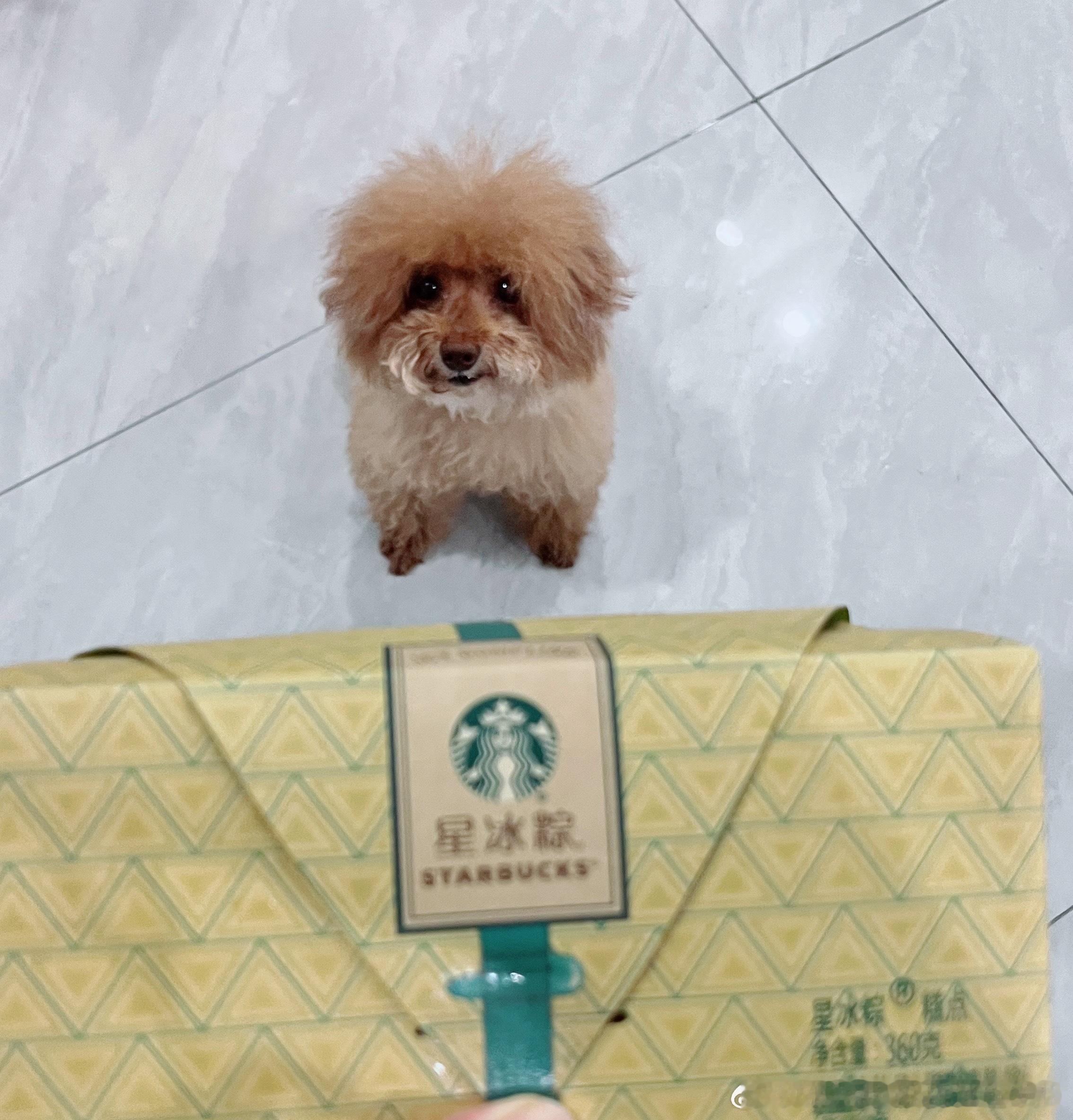 下周是很善良的一周下个星期是端午节星巴克的星冰粽真是照骗