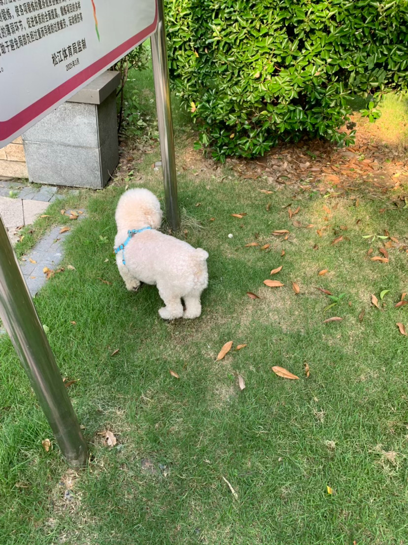 早安呀又是一个美丽的早晨 