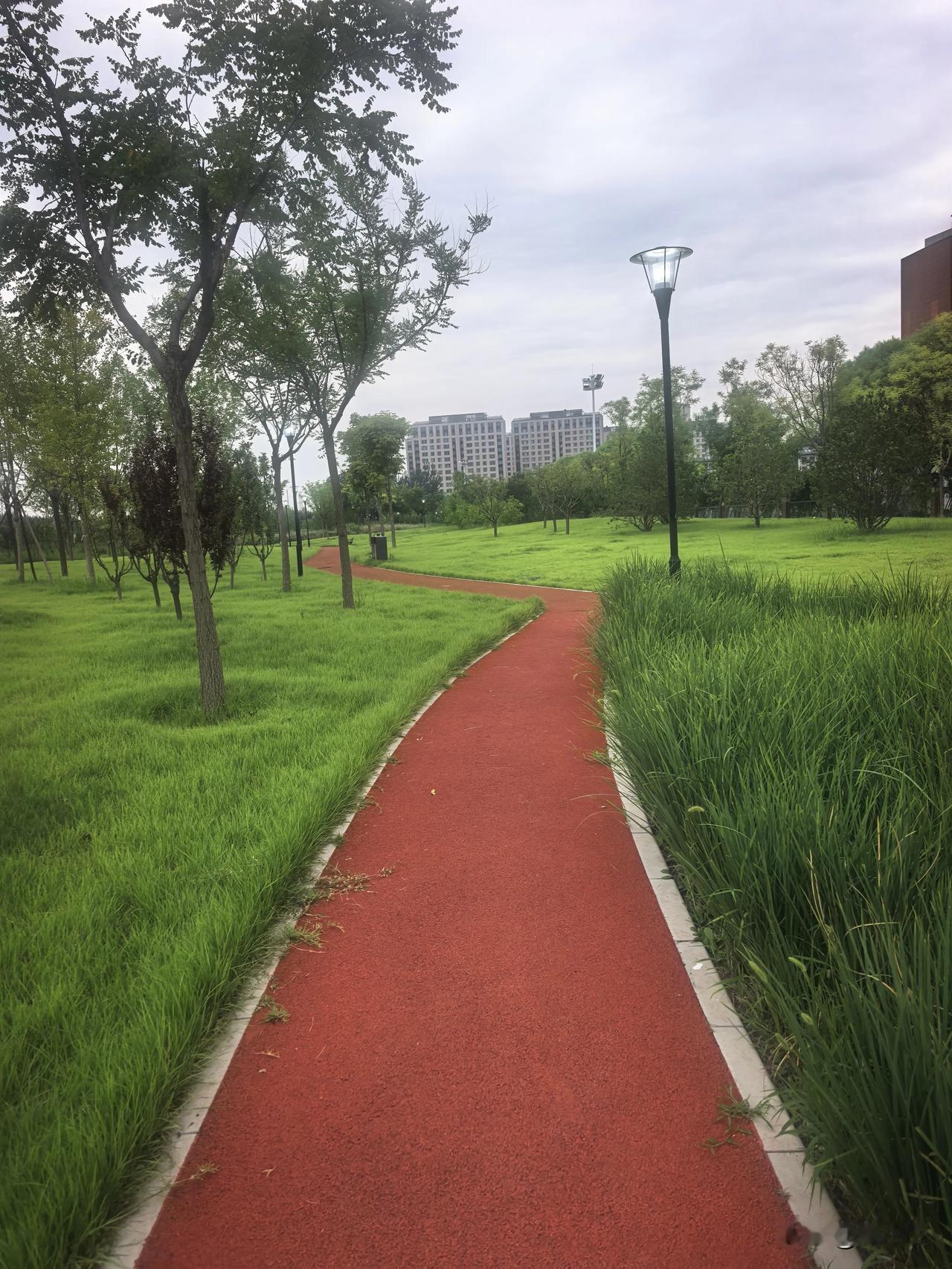 人生不必事事追赶，慢一点，也是一种幸福。愿夏天所有的不如意，都随着风吹散；愿秋天