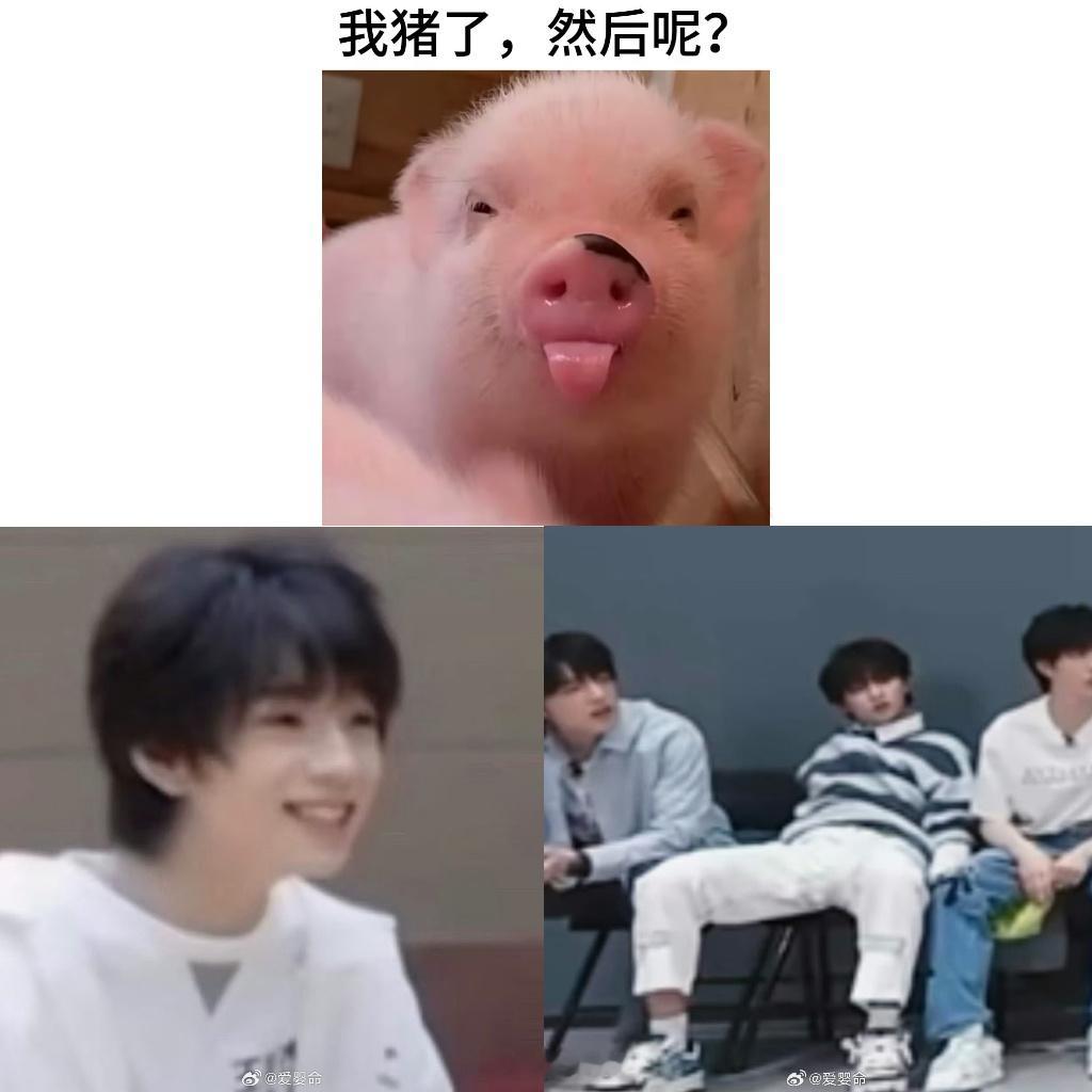 是我珍惜你的方式猪了吗( ᐪ꒳ᐪ )净化一下 
