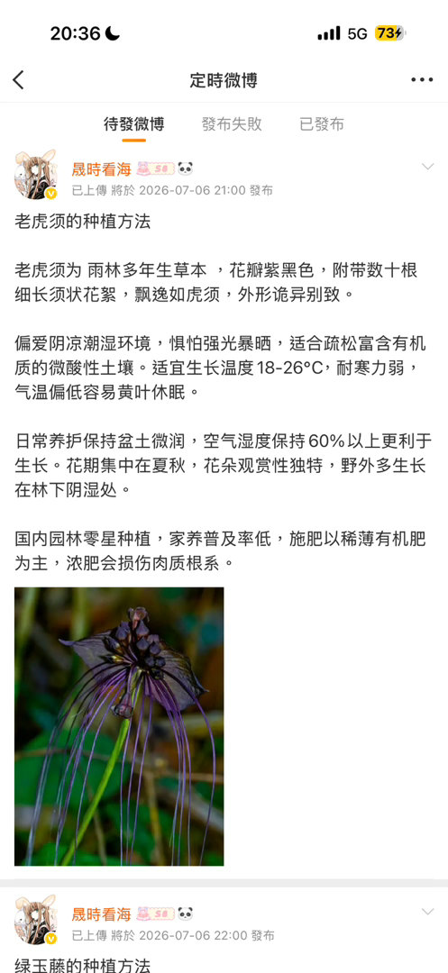 严肃🐏浩中 不知道有没有效果