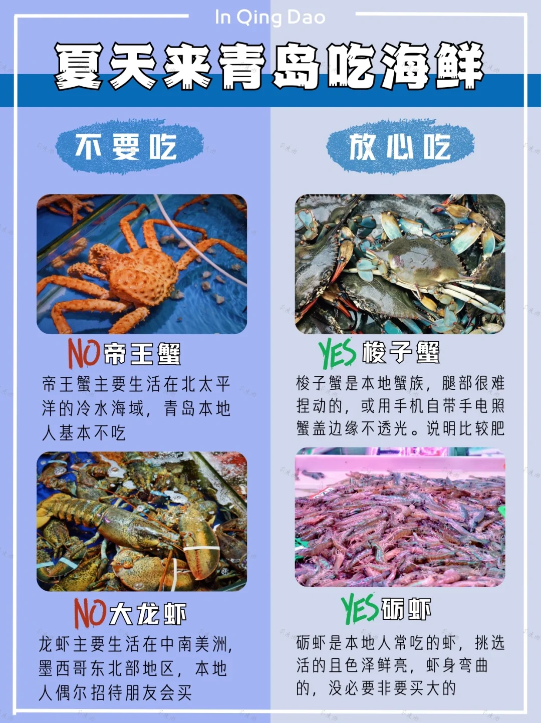 青岛本地人带你吃➕买海鲜‼️告别海鲜刺客