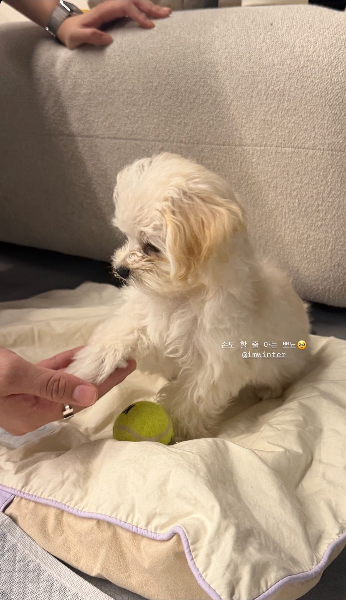 原来不是只有一点点吗这个腿怎么突然变这么长了 ​​​