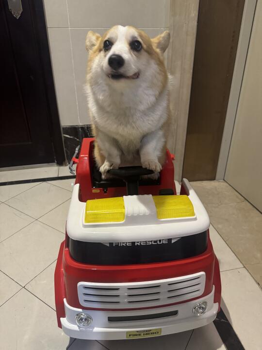 这是谁的小汽车 我先开一下