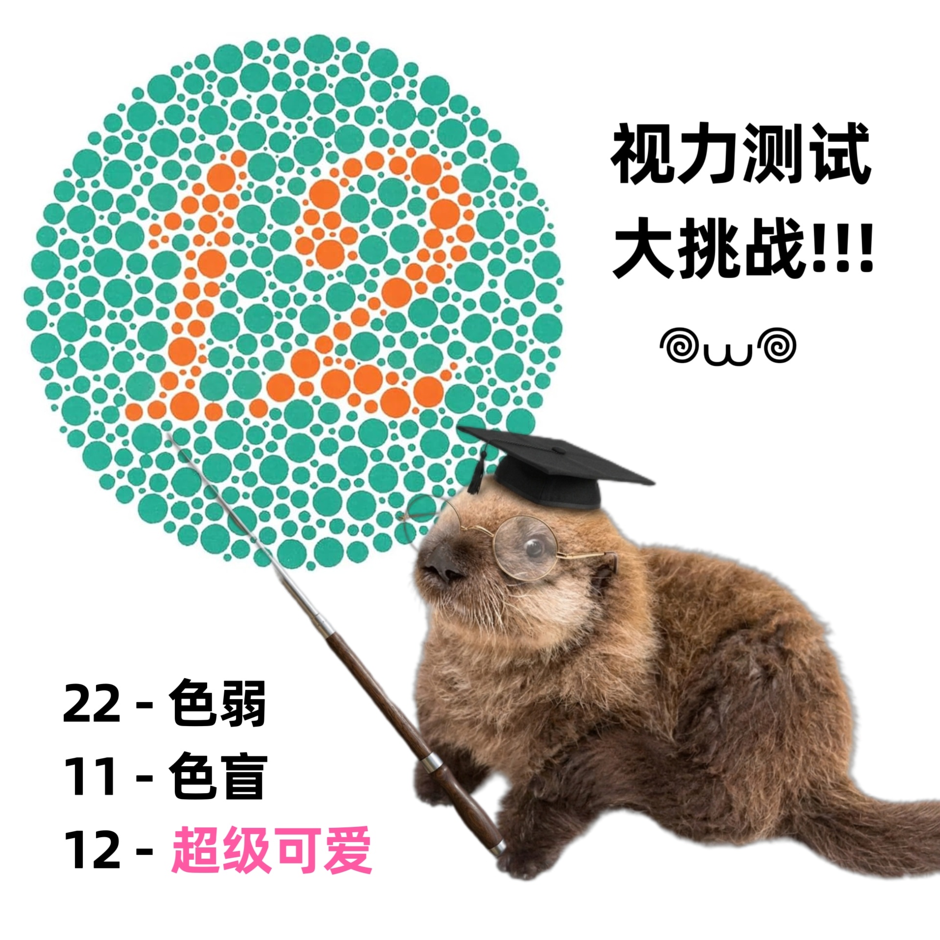 视力大测试！meme海獭