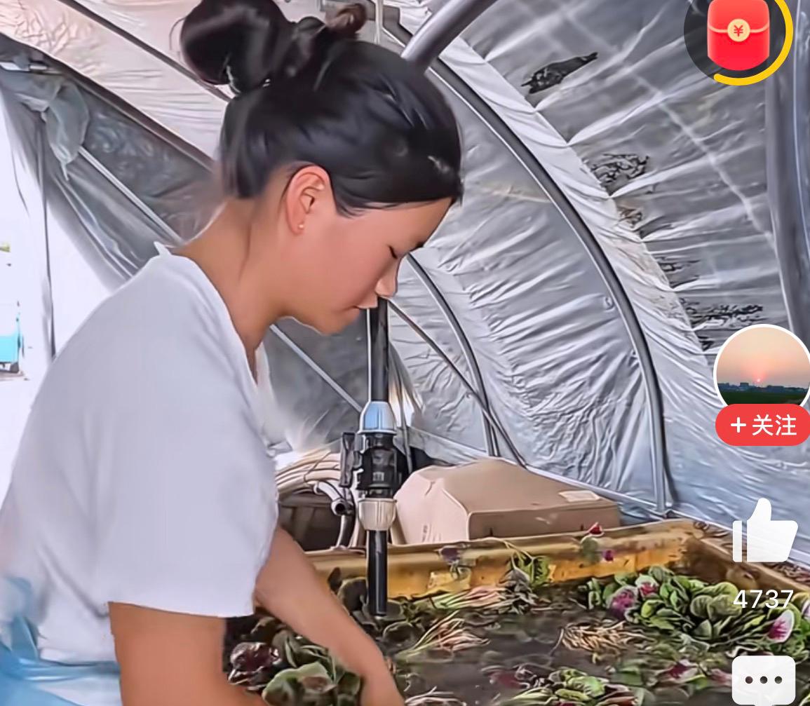 一氧化二氢浸泡的蔬菜千万别吃！食品安全何时才能真正落地？

都说食品安全大于天，