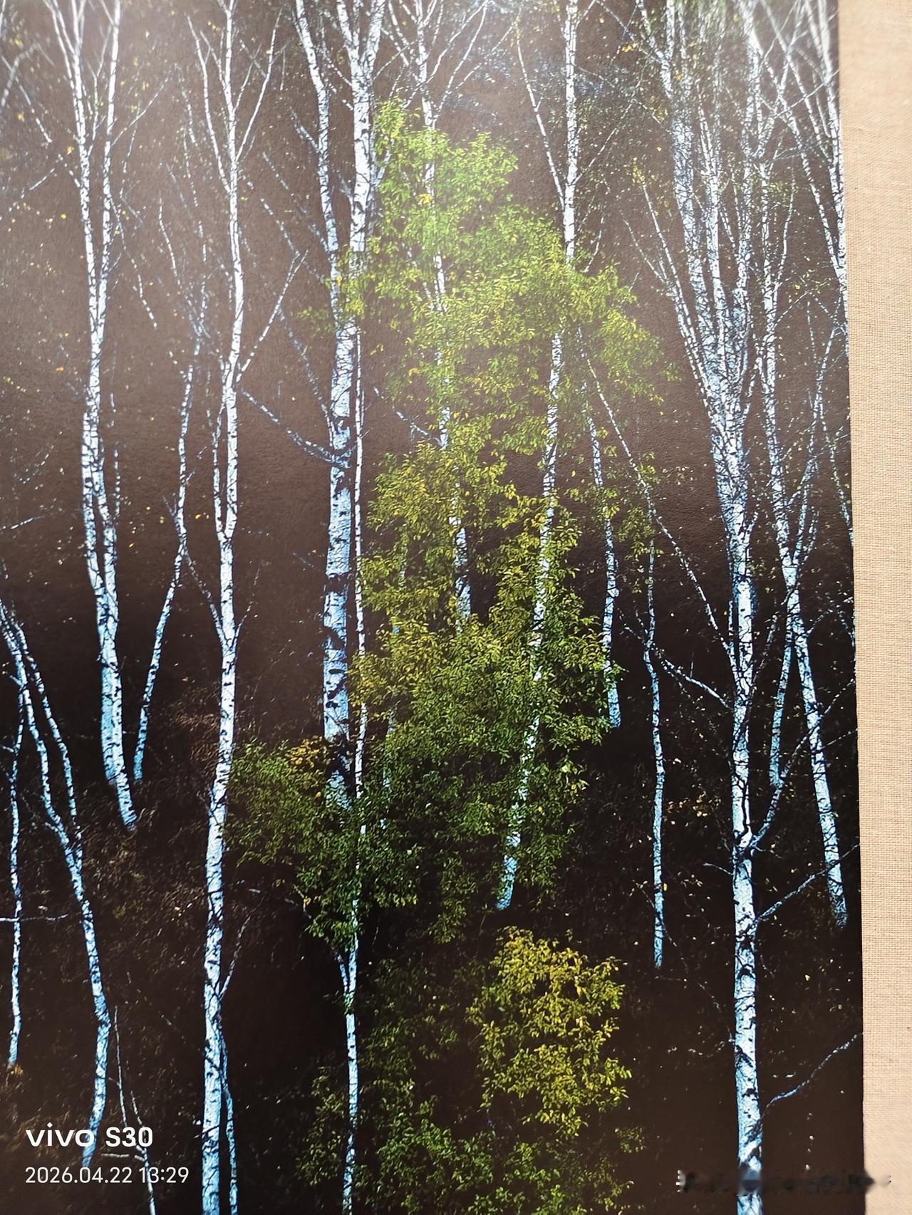 夏日生活打卡季