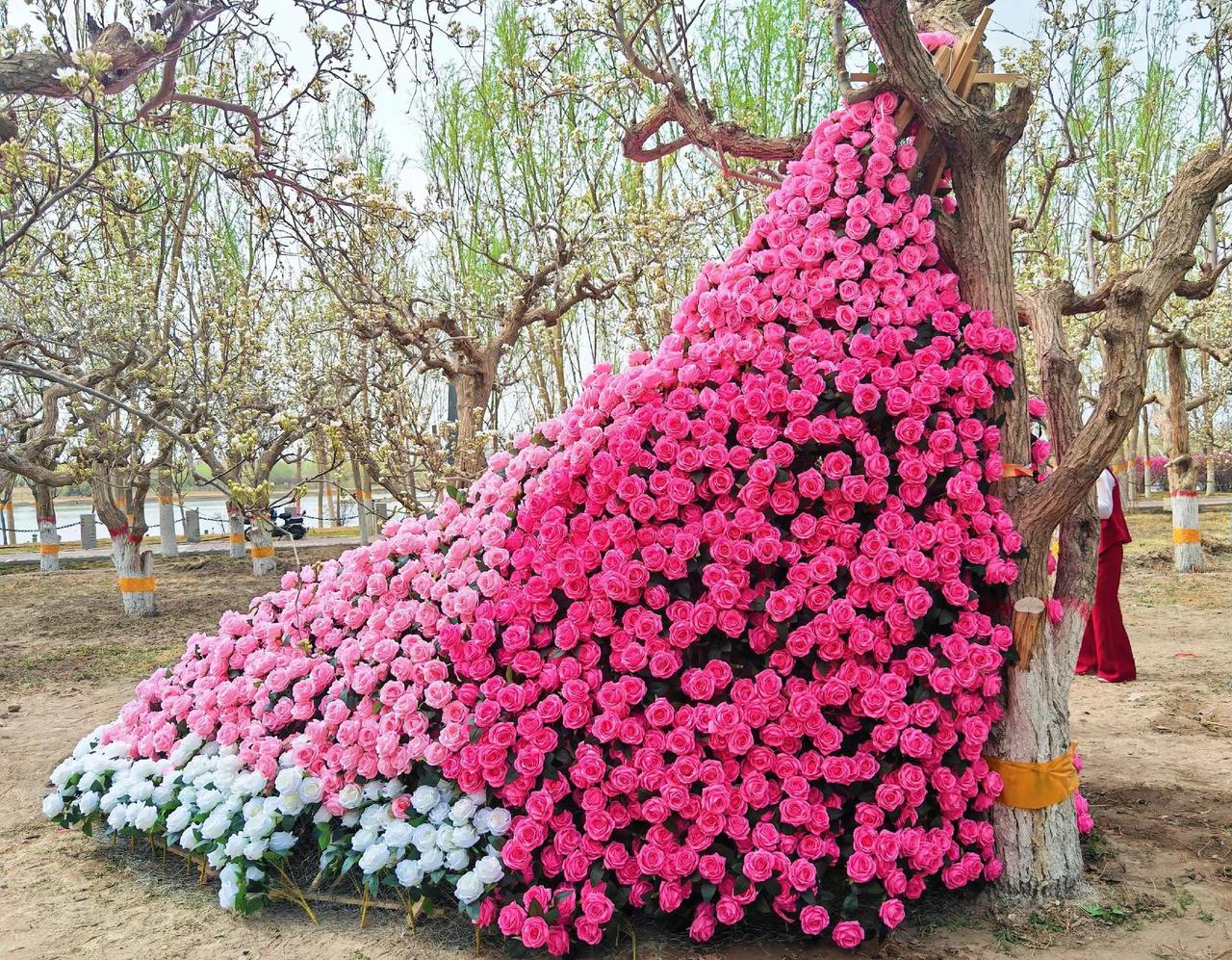 交换一张随手拍的照片