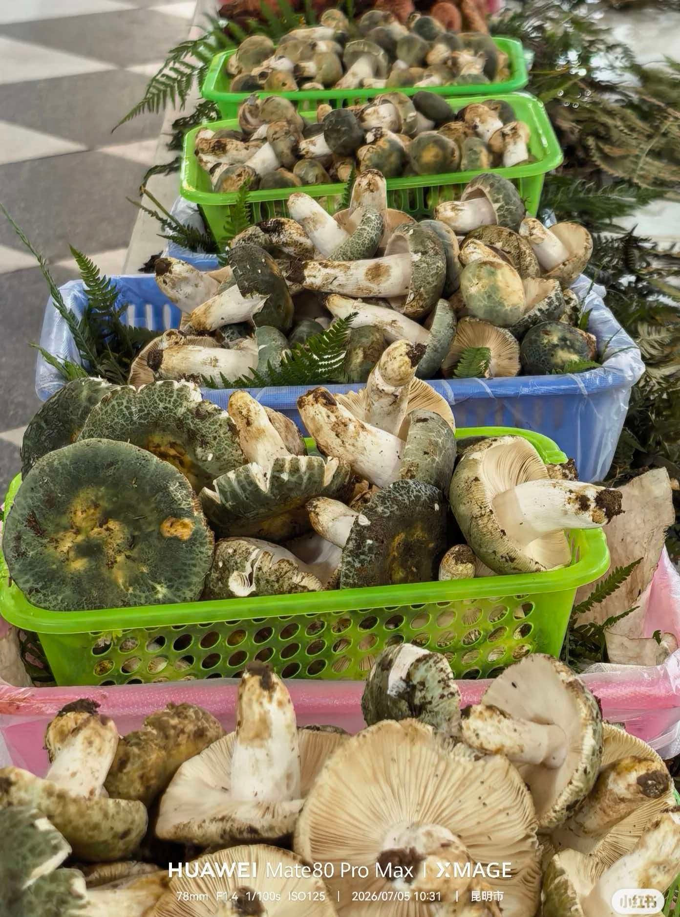 逛云南菜市场就像逛博物馆 这才是人间烟火气，这也是影像最接地气的表达方式。真实的