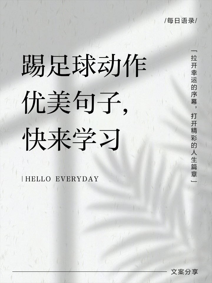 李晨宋小宝踢上足球了 他们在绿茵场上驰骋, 每一个动作都充满力量与优雅。踢足球动