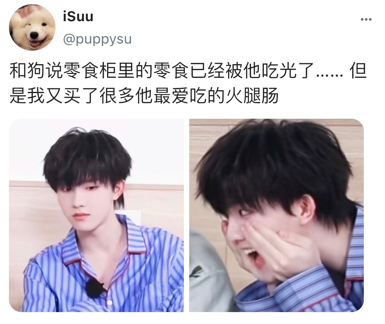 【4544】养一只小狗 