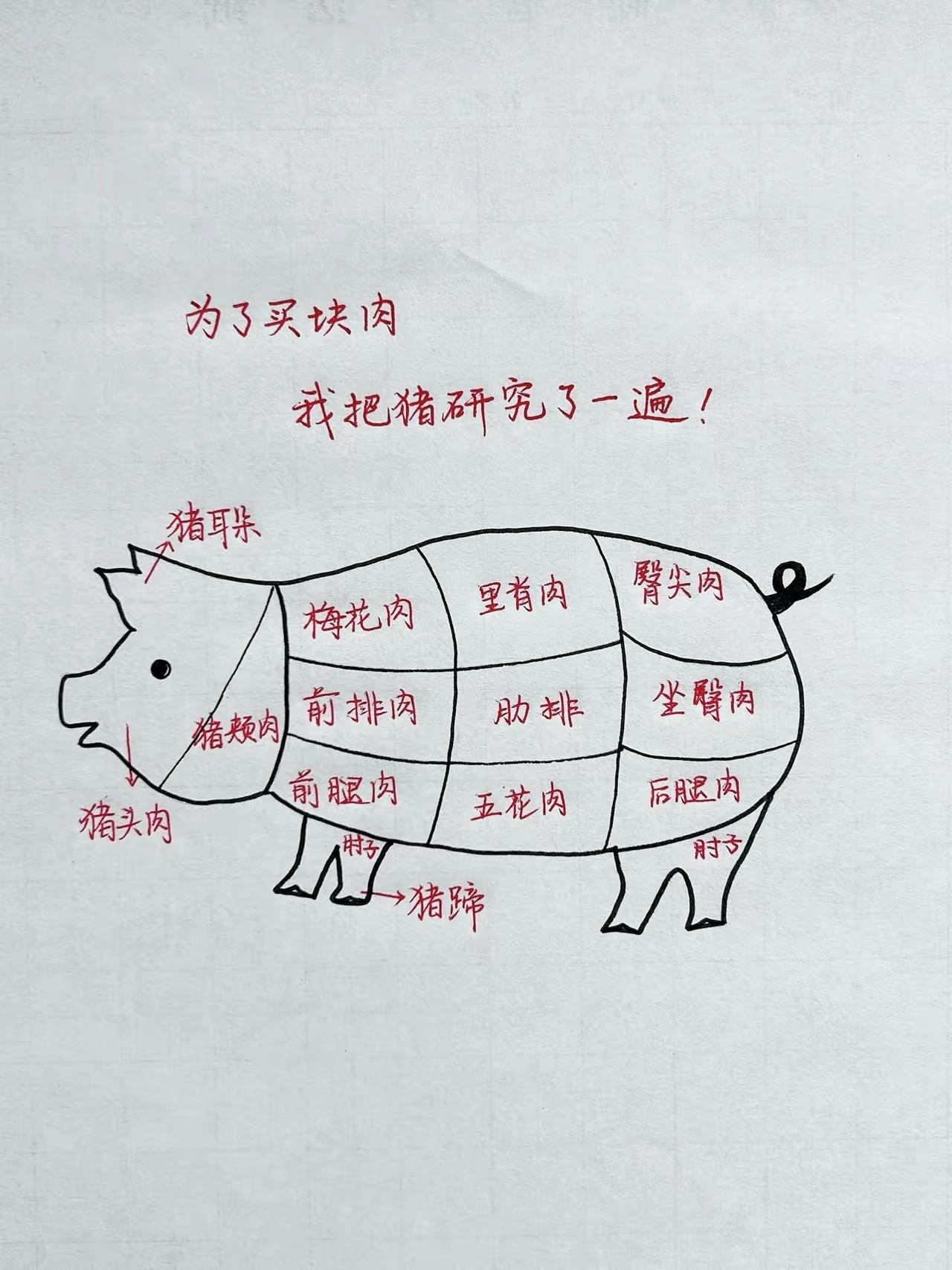 为不被肉摊老板坑，手绘猪肉分部位示意图，买菜小白从此买肉不踩坑

猪肉部位科普 