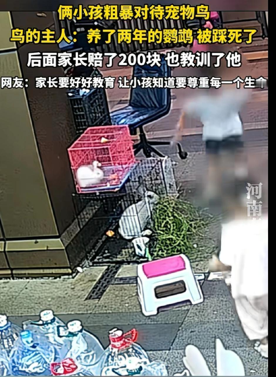 教育孩子关爱动物
尊重生命是一件很重要的事
两个小孩子残忍的对待一只小鸟
这只鸟