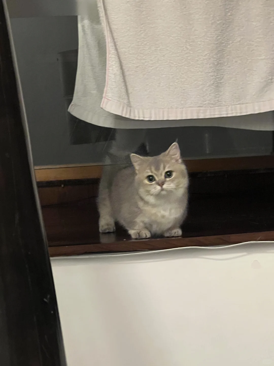 站起来了还以为没站起来