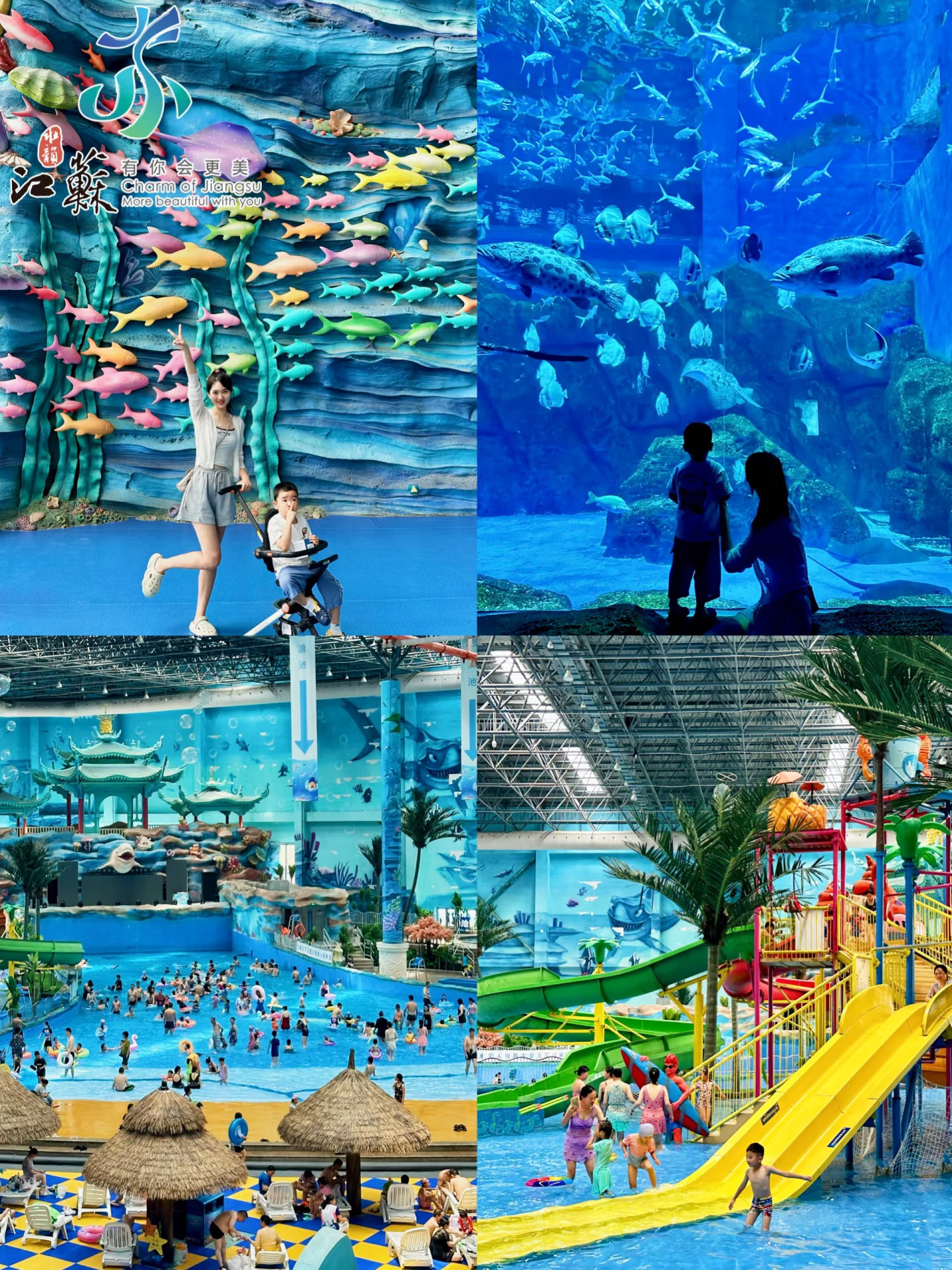 室内超凉爽❗️嬉水乐园+海洋世界，太绝了❗️