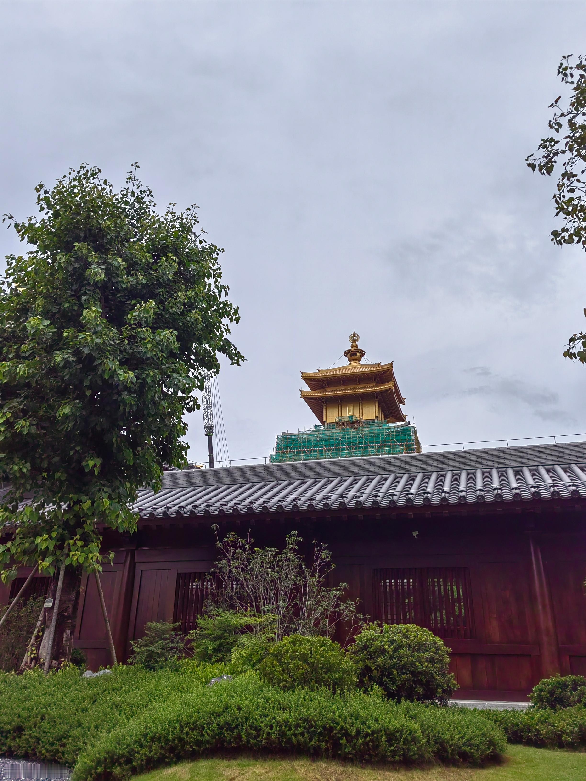 虔诚🙏🙏 佛山·仁寿寺