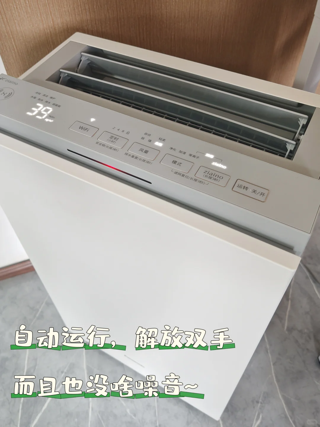 给王子找了个伙伴～它好开心～