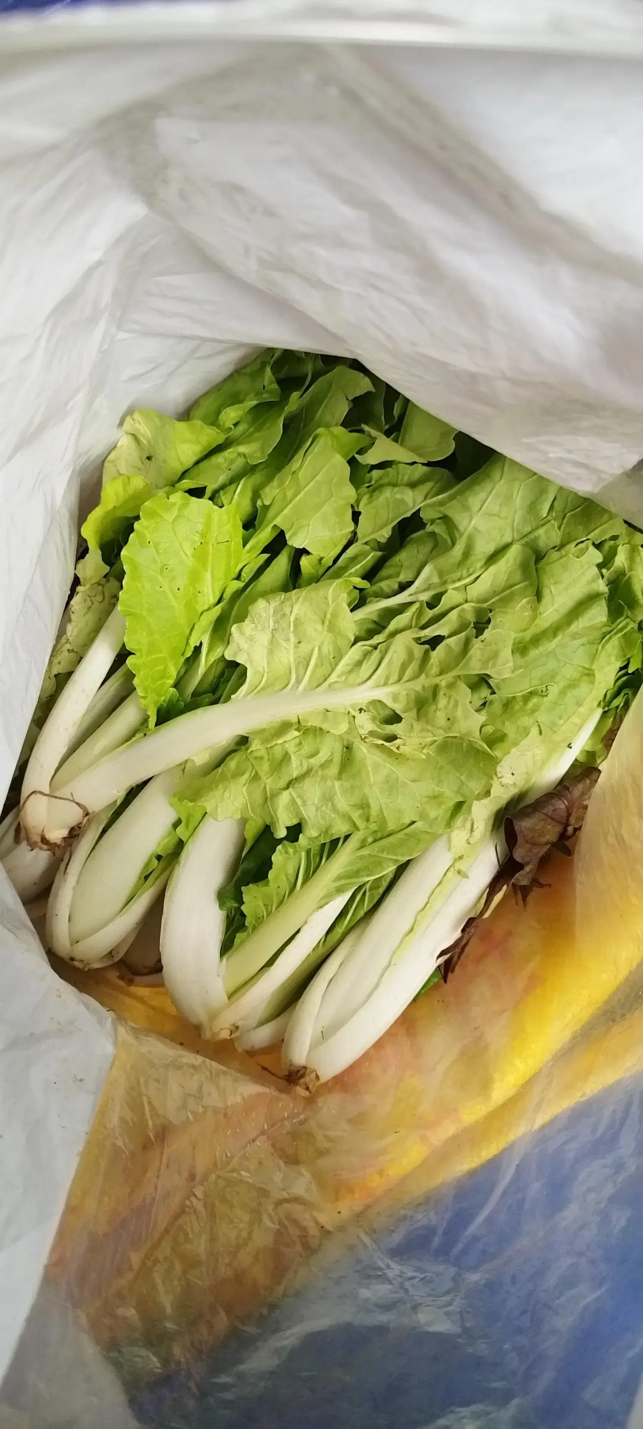 在未进入富宁县者323国道旁，间隔数公里两家小店的老板娘，心理落差怎么会这么不一