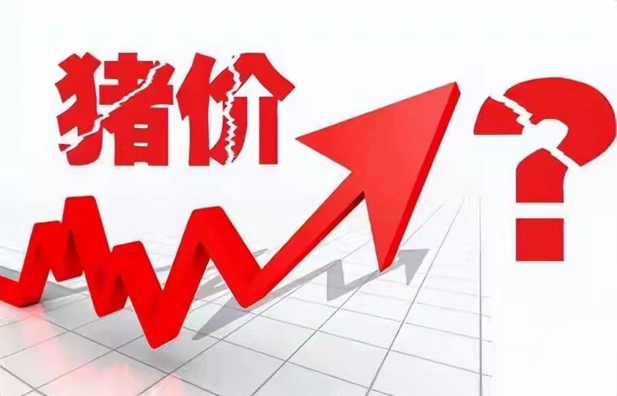 猪价跌势放缓，市场进入震荡筑底阶段，8月行情要真正反弹？7月临近收尾，猪价跌势开