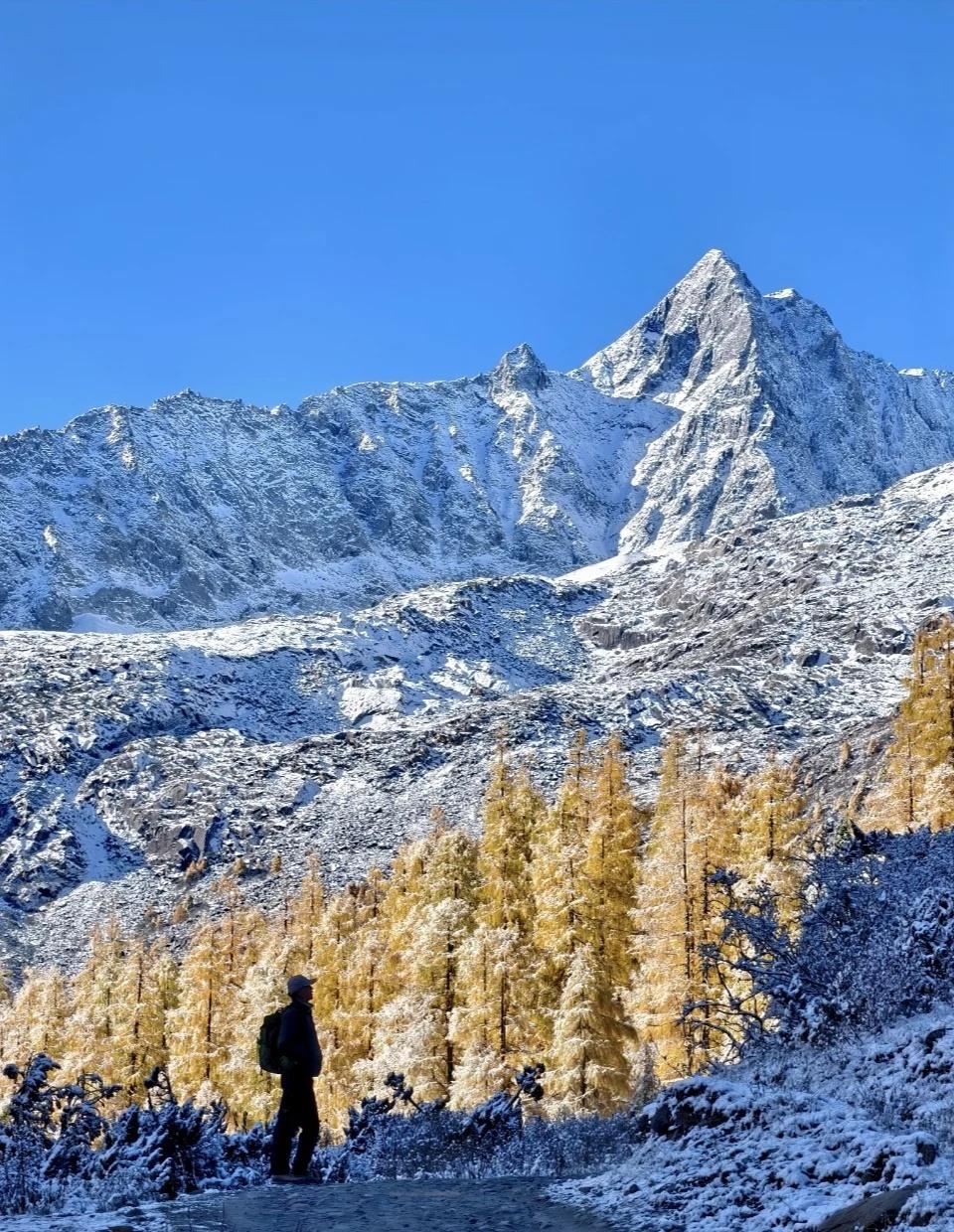 党岭|30号月末晨时秋色 雪与黄叶怎么会....
怎么会这么好看！😻
我去过东