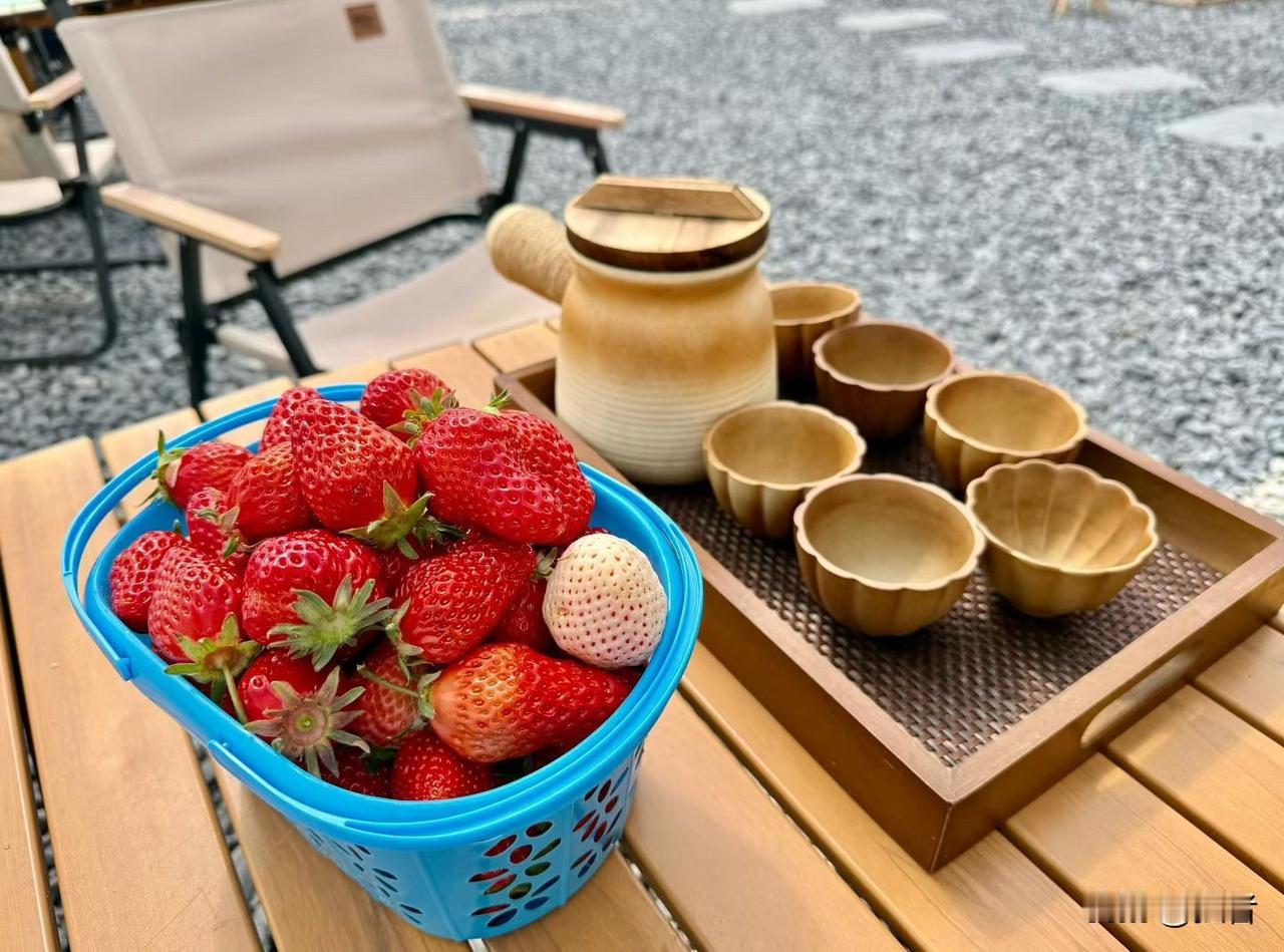 朋友圈的快乐时光！

春暖·花开·阳光·泥土·芬芳
摸鱼🐟、钓虾🦞、摘草莓?