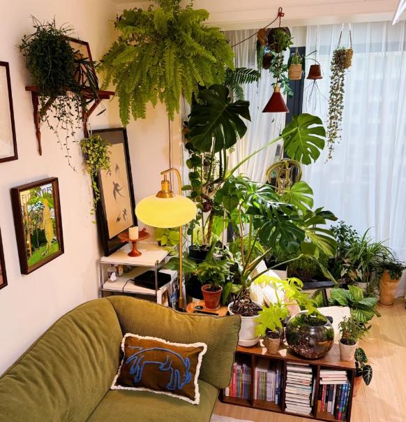 客厅养花虽能美化环境，但选错位置反而会影响健康！
根据生活经验和植物习性，客厅有