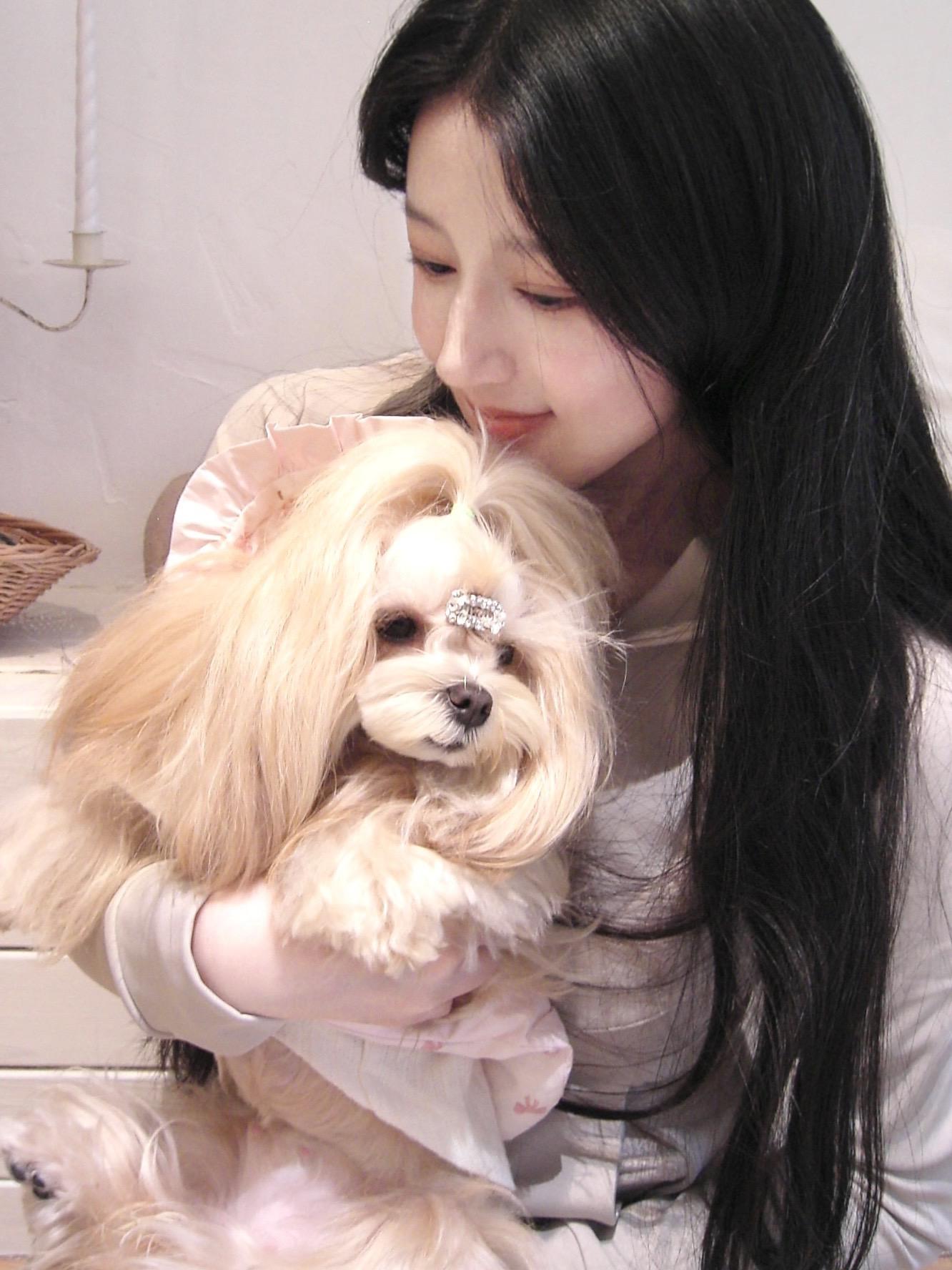 我爱感知生活中的小美好 这可爱的小狗儿 身边有两三好友 知足常乐 愿你常乐