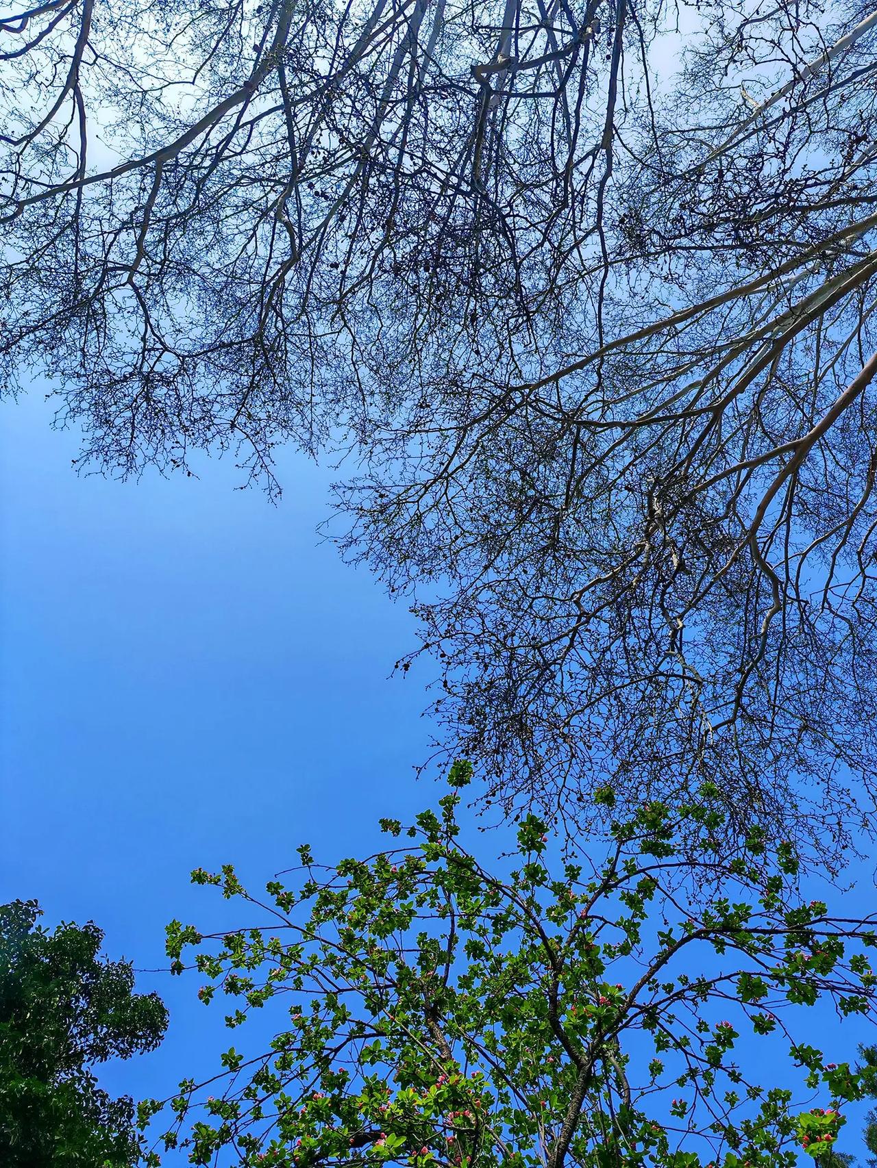 随拍 图文热点来了 登上山顶看美景 随手一拍都是美景 大自然的美无处不在