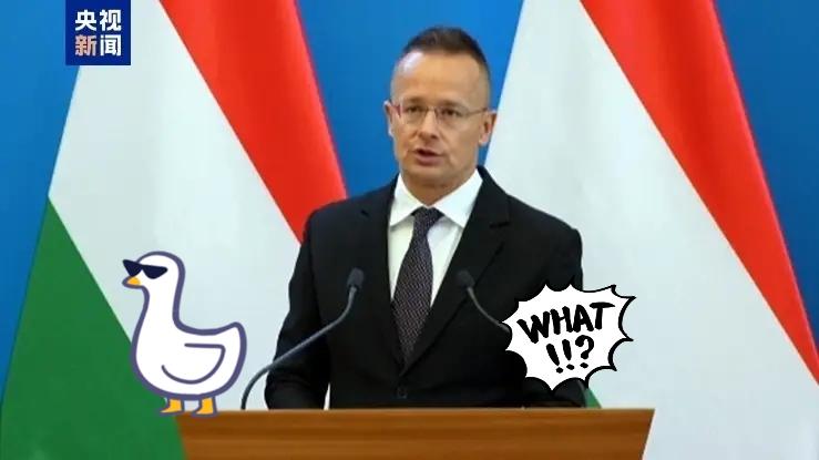 匈牙利传来新消息了！

匈牙利外交与对外经济部长西雅尔多12月16日在布达佩斯宣