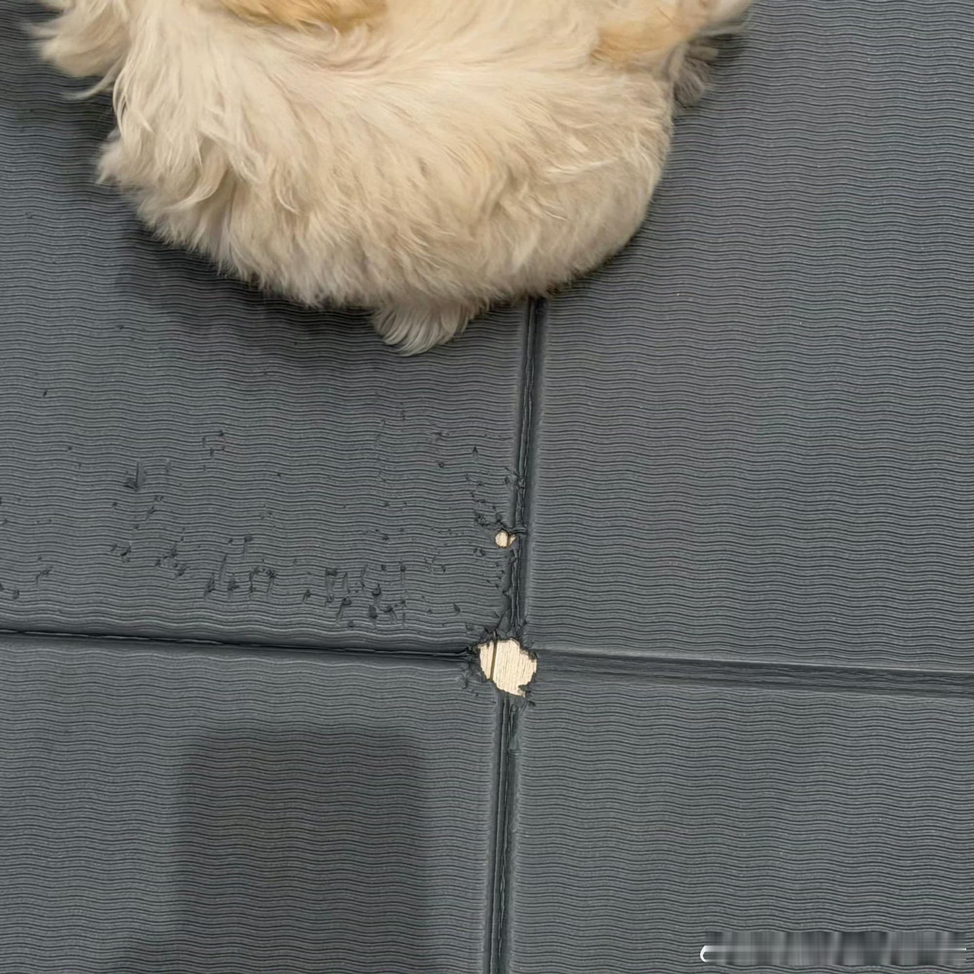 猜猜是谁 ​​​