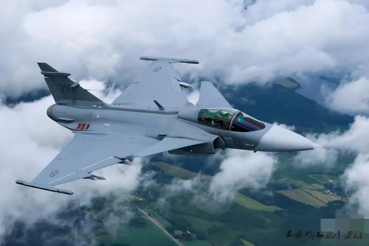 战斗机(英文代号：JAS-39，瑞典文：Gripen，英文：Griffin或Gr