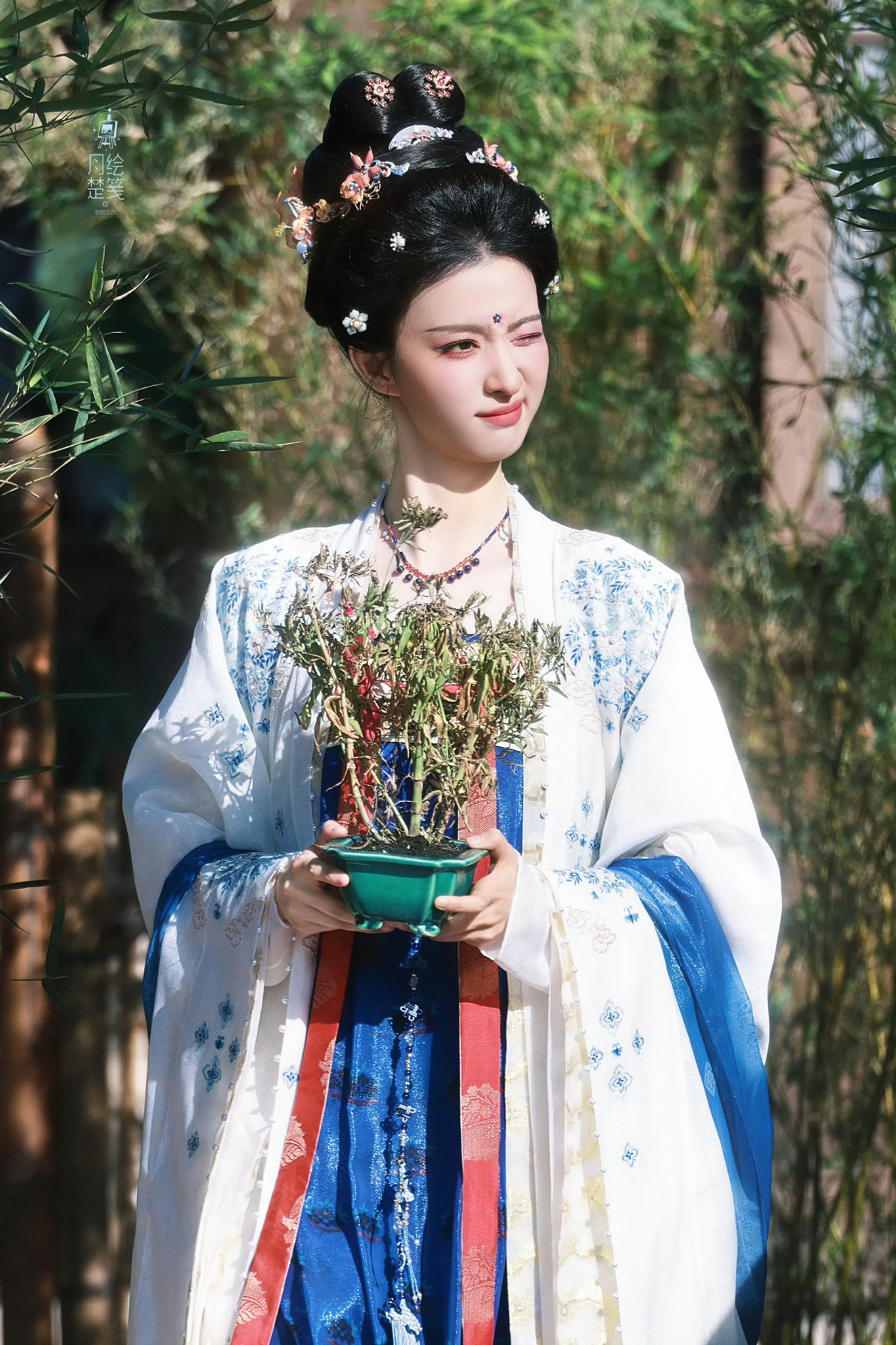 人家好喜欢这个小树裟椤啊怎么那么萌