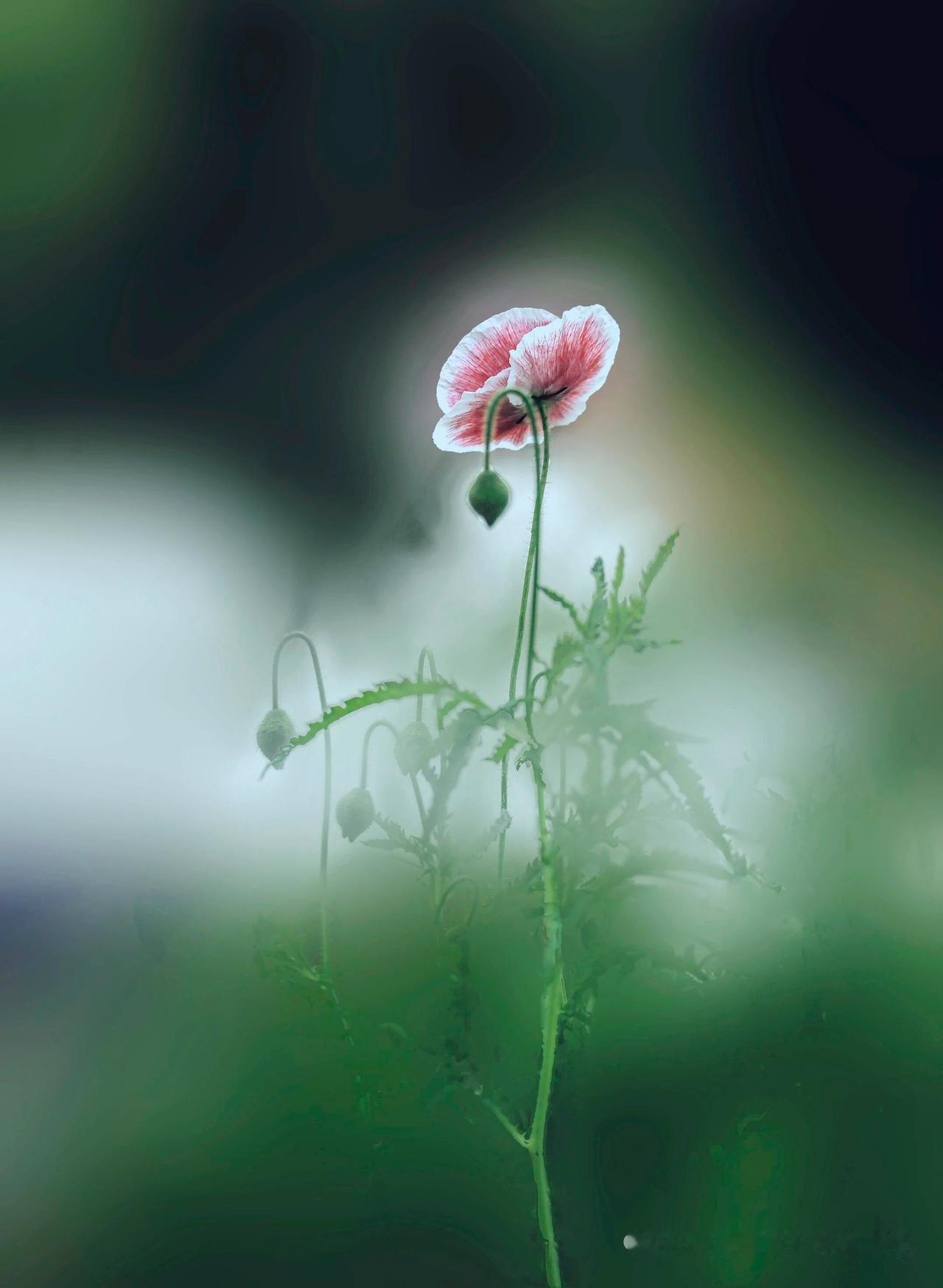 别再盯着手了！太极拳的“隐藏大佬”是这个部位

练太极拳的人，十个有九个在琢磨手